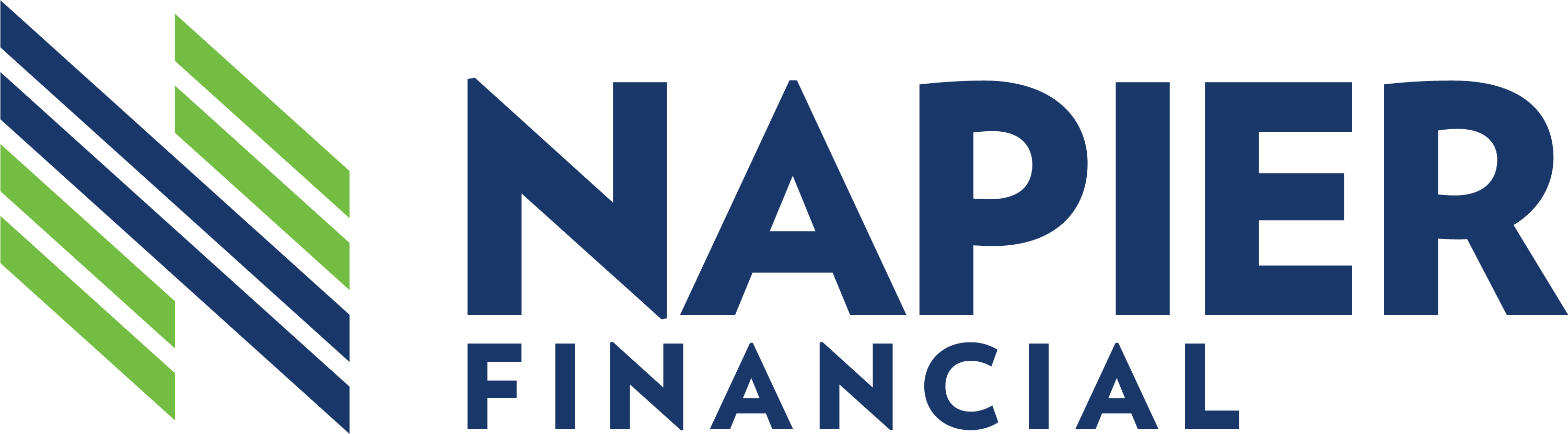 napier-financial-logo